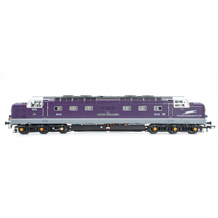 9016  - Porterbrook Purple